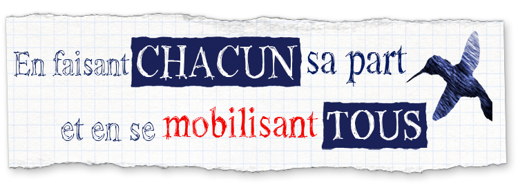 Raison_0012_How-6-FR